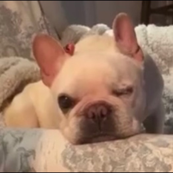 Meet your Posher, Pamela - Picture 3 of 3